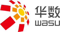 中国华数